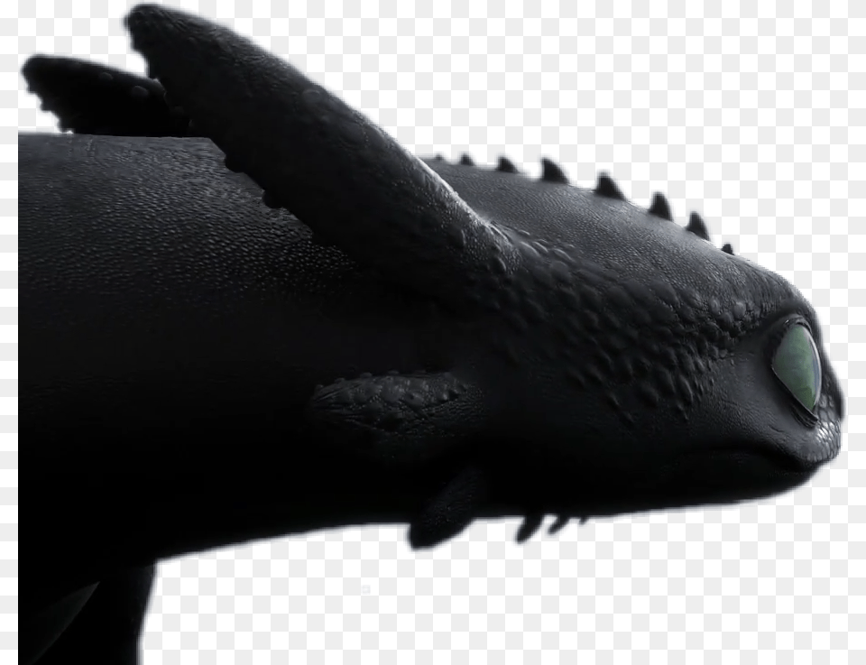 Toothless Nightfury Httyd Httyd3 Hiddenworld Jws Toothless Httyd 3, Clothing, Glove, Animal, Fish Free Transparent Png