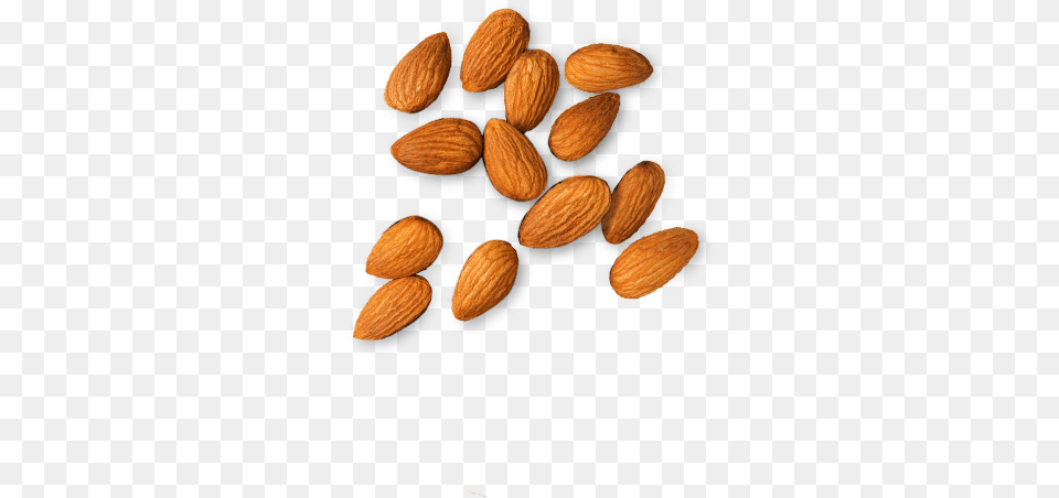 Top 10 Fat Food, Almond, Grain, Produce, Seed Png