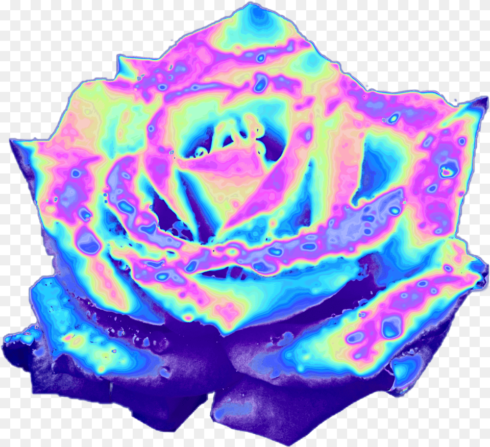 Top 10 Holographic Flowers These Stickers And So Much Aesthetic Blue Clipart Aesthetic, Accessories, Flower, Plant, Rose Free Png Download