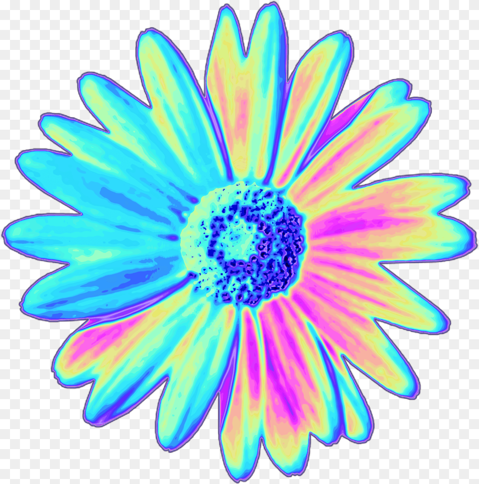 Top 10 Holographic Flowers These Stickers And So Much Stickers Picsart, Daisy, Flower, Plant Free Png
