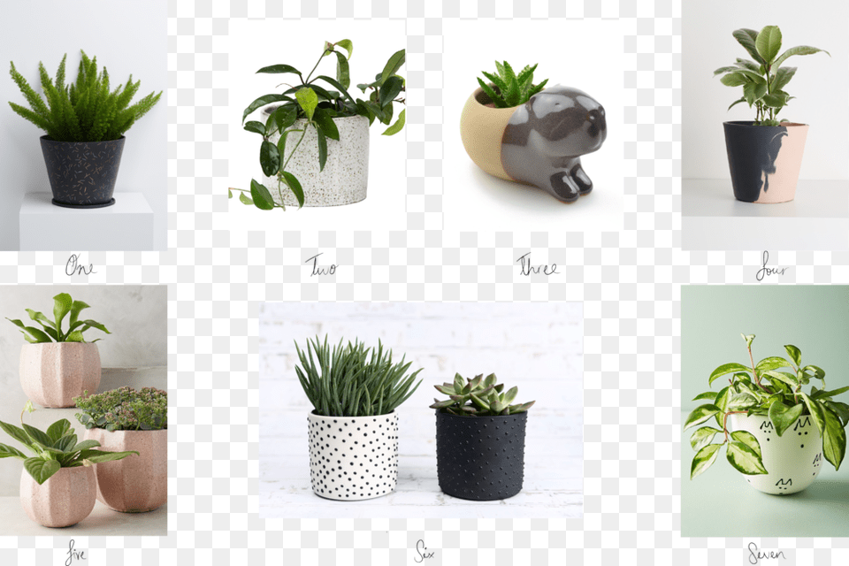 Top 10 Planters, Jar, Plant, Planter, Potted Plant Free Png Download