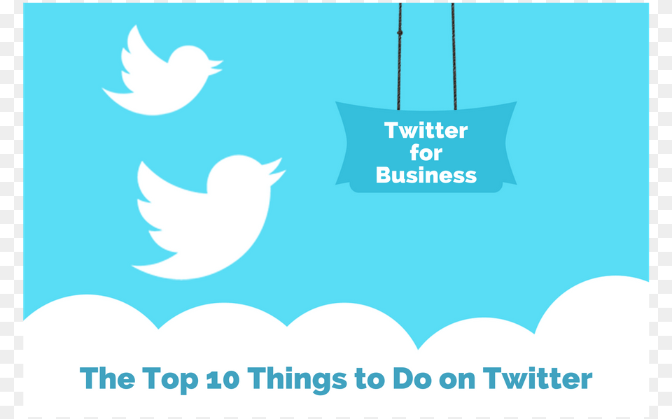 Top 10 Things To Do On Twitter Graphic New Followers Twitter, Advertisement, Poster, Nature, Outdoors Free Png Download