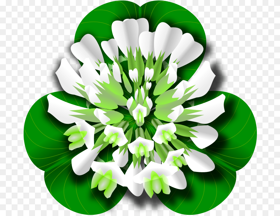 Top 23 Clover Flower Transparent White Clover Clipart, Art, Green, Graphics, Plant Free Png
