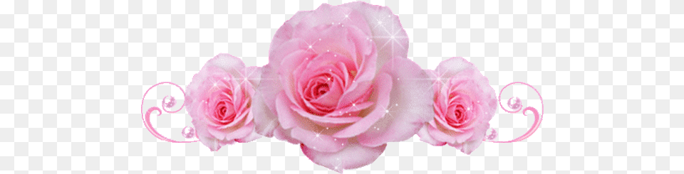 Top 30 Transparent Glitter Gifs Pink Glitter Rose Gif, Flower, Plant Free Png