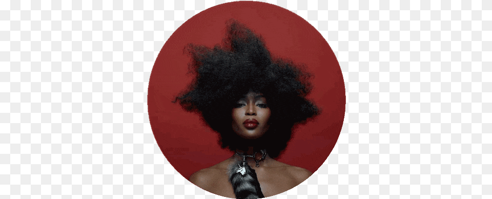 Top Afro Hair Stickers For Android U0026 Ios Gfycat Painting, Accessories, Portrait, Photography, Person Free Transparent Png