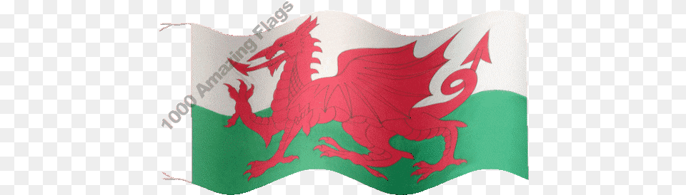 Top Bandiera Stickers For Android U0026 Ios Gfycat Wales Football, Adult, Female, Person, Woman Free Png Download