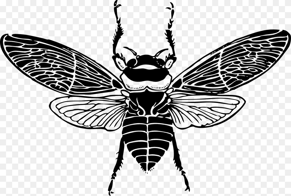 Top Bee Wings Insect Honey Silhouette Bug Bee Wings Clip Art, Gray Free Png Download