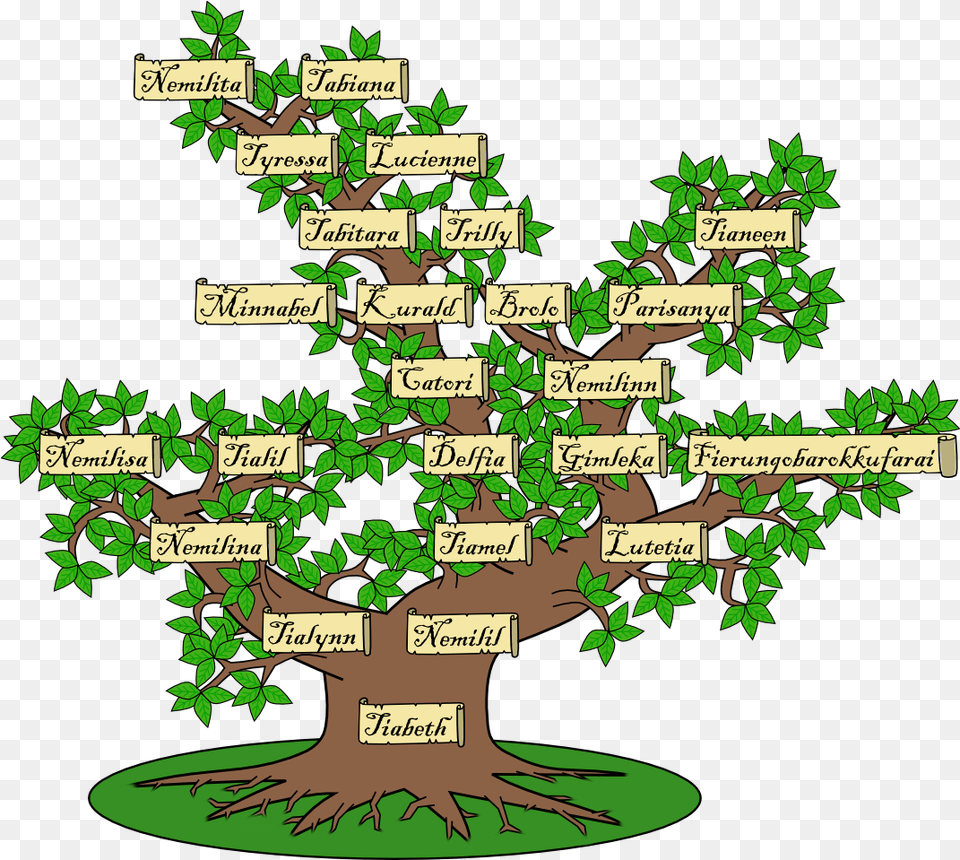 Top Clicks Links Family Tree 1070x958 Clipart Family Tree Clara Barton Family, Plant, Potted Plant, Vegetation, Green Free Png Download