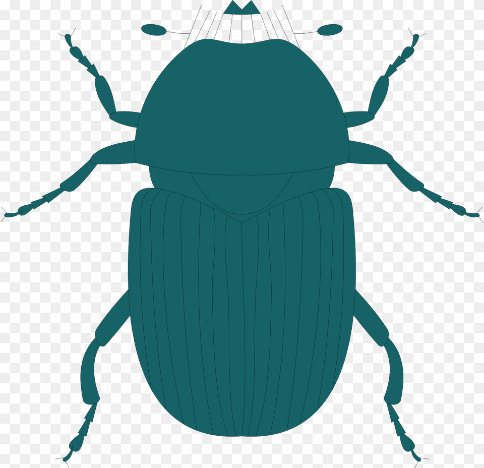 Top Clipart, Animal, Dung Beetle, Insect, Invertebrate Free Png Download