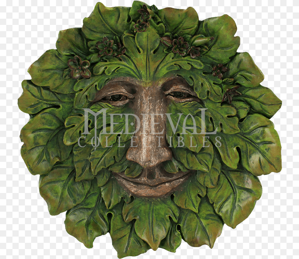 Top Collection Garden Fig Green Man Hanging Plaque, Bronze, Leaf, Plant, Person Free Transparent Png