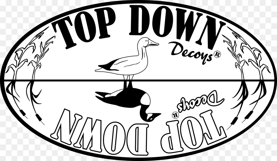 Top Down Decoys Goose Decoys Reversible Goose Decoys Duck, Animal, Bird, Waterfowl, Oval Free Transparent Png