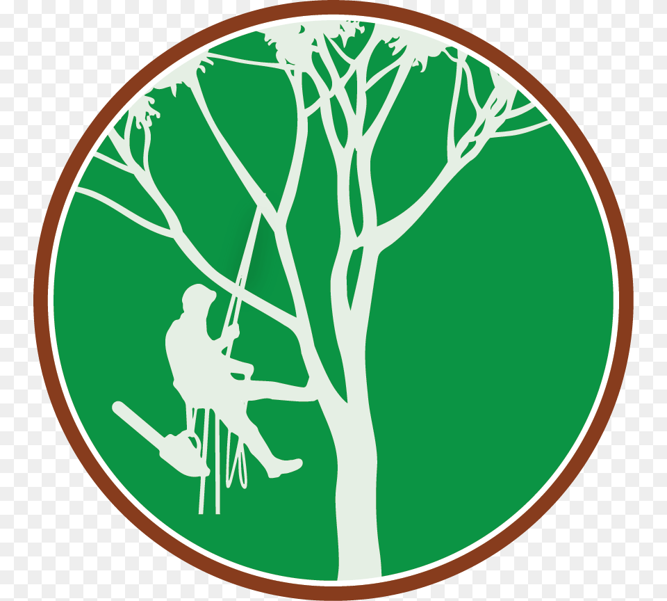 Top Down Lawn Tree Care Tree Climber Clipart, Plant, Vegetation, Adult, Person Free Transparent Png