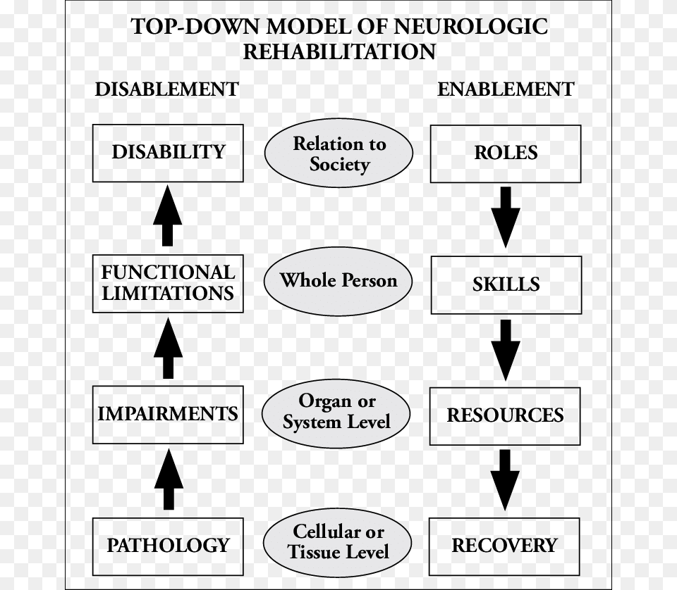 Top Down Model Of Neurologic Rehabilitation Presented Neurology, Text Png