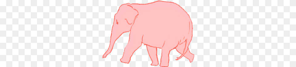 Top Elephant Penis Stickers For Android U0026 Ios Find The Animated Gif Walking Elephant, Animal, Mammal, Wildlife Free Transparent Png