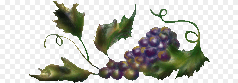 Top Grapes Sidebar Wine, Food, Fruit, Plant, Produce Png Image