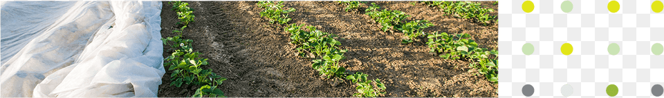 Top Field, Agriculture, Countryside, Garden, Nature Png Image