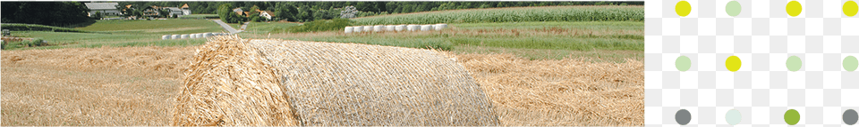 Top Image Field, Countryside, Nature, Outdoors, Straw Free Png