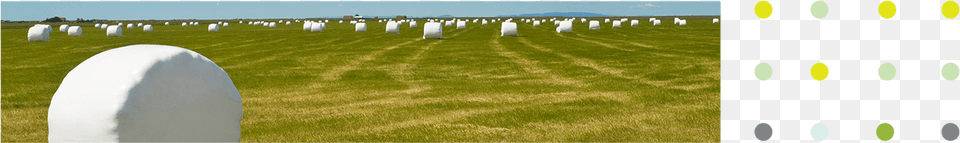 Top Image Lawn, Tomb, Gravestone, Outdoors, Grass Free Transparent Png