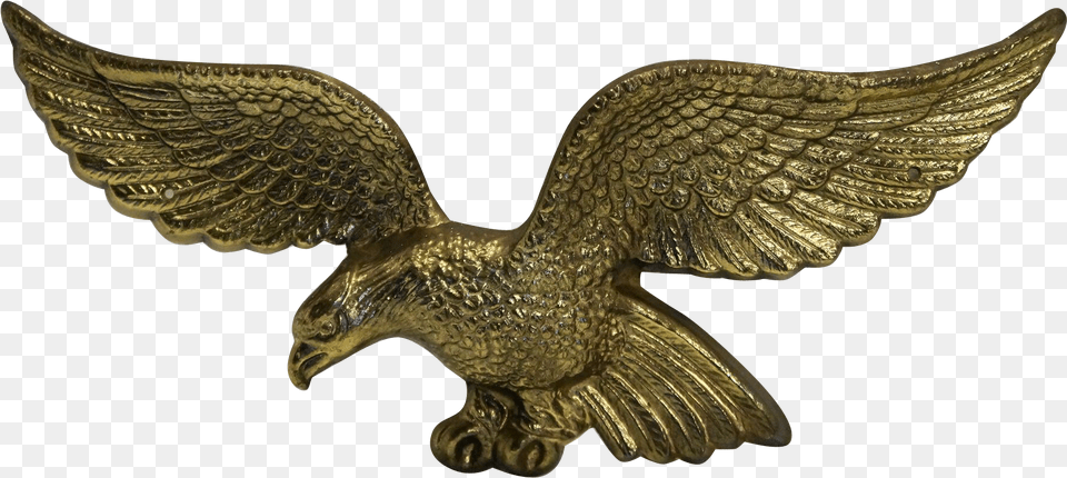 Top Images For American Brass Eagle Plaque On Picsunday Red Tailed Hawk, Bronze, Animal, Bird Free Transparent Png