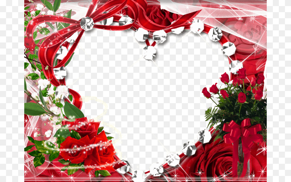 Top Images For Marcos De Rosas On Picsunday Rose Photo Frame, Pattern, Graphics, Plant, Flower Png
