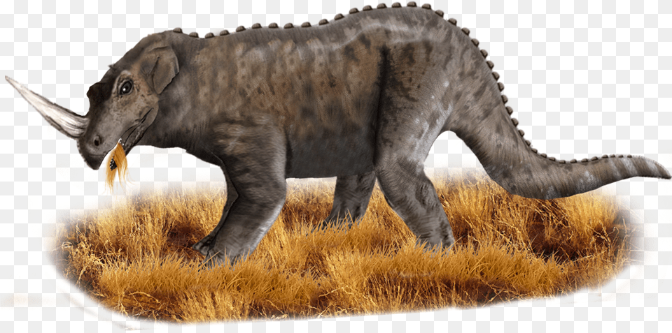 Top Lesser Known Cryptids From Around The Globe, Animal, Dinosaur, Reptile Png