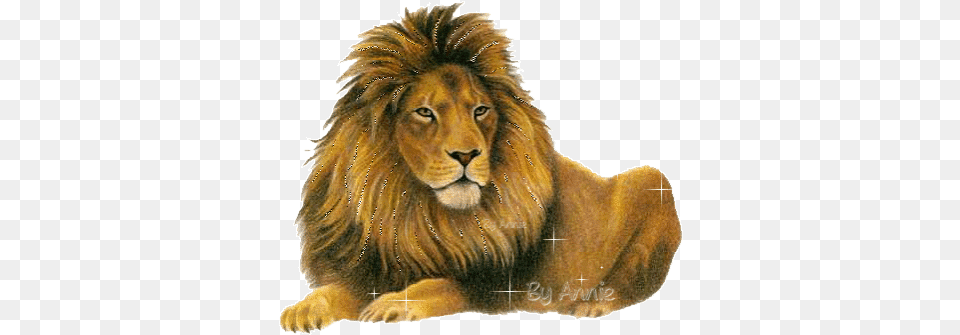 Top Lion King 2 Stickers For Android U0026 Ios Gfycat Transparent Lion Animation Gif, Animal, Mammal, Wildlife Png Image