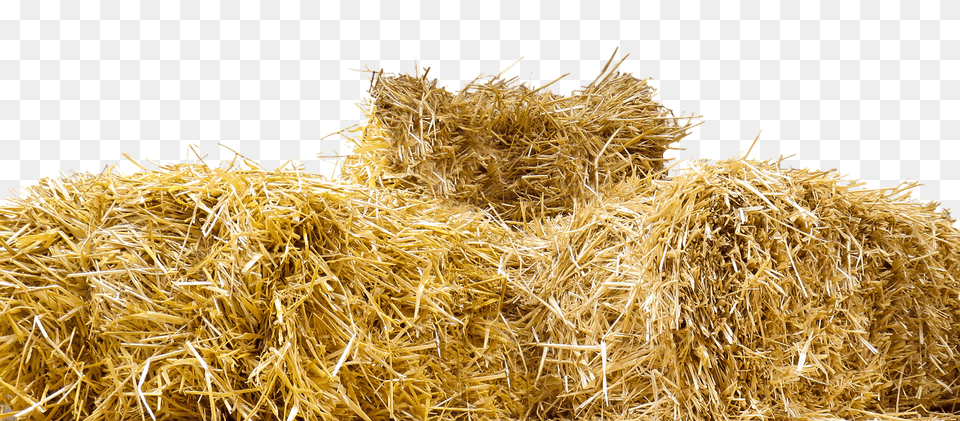 Top Of Straw Bales, Countryside, Nature, Outdoors Free Png
