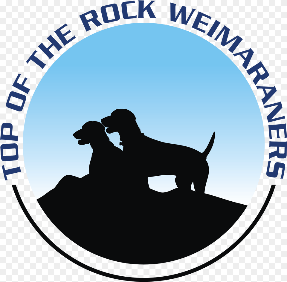 Top Of The Rock Weimaraners Longdog, Photography, Animal, Canine, Dog Free Png
