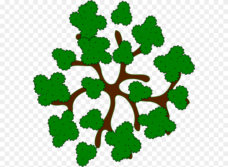Top Of Tree Clipart, Leaf, Plant, Pattern, Outdoors Free Transparent Png
