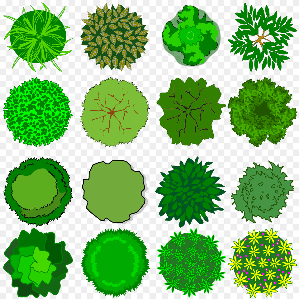 Top Of Tree Clipart Clip Art Images, Vegetation, Green, Leaf, Moss Png Image