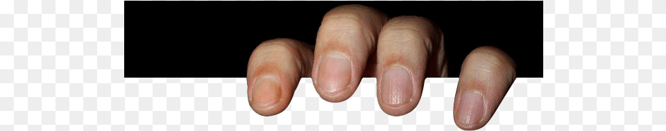 Top Part Https I Lensdump Comi851pg9 Photography, Body Part, Finger, Hand, Person Free Png