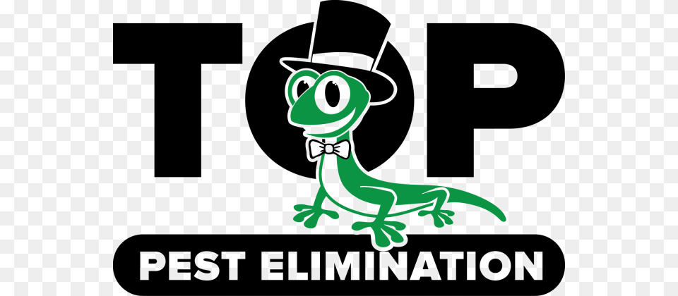 Top Pest Elimination, Animal, Lizard, Reptile, Gecko Free Transparent Png