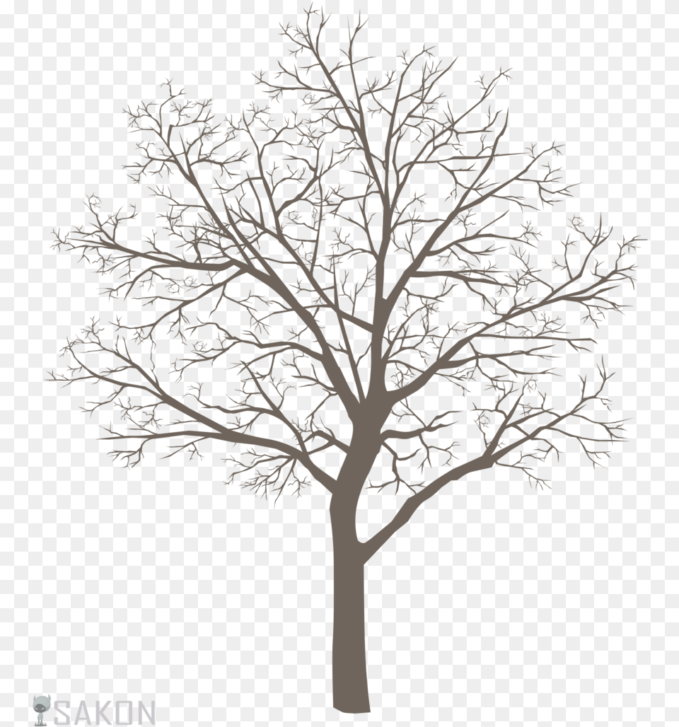 Top Rec Cashadvance6onlinecom Category Tree Heart Clip Art, Plant, Tree Trunk Png Image