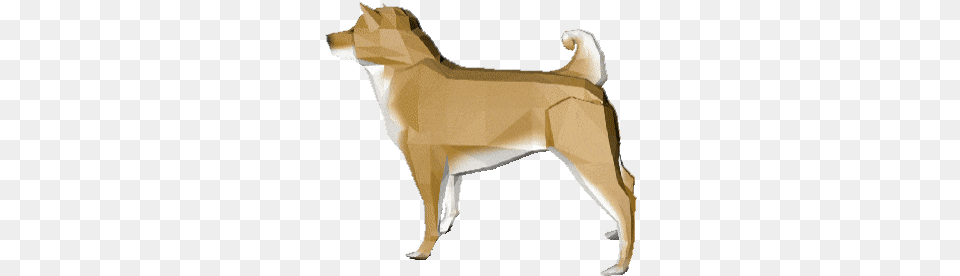 Top Shiba Inu Videos Stickers For Android U0026 Ios Gfycat Shiba Inu Gif Transparent, Animal, Canine, Mammal, Pet Free Png