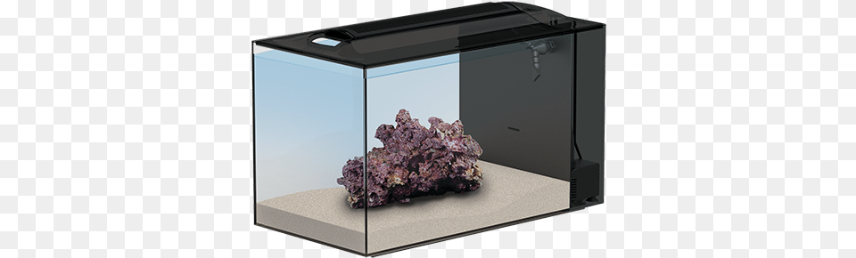 Top Trusted Tips On Moving Your Reef Tank Reef Aquarium, Animal, Sea Life, Mineral, Fish Png