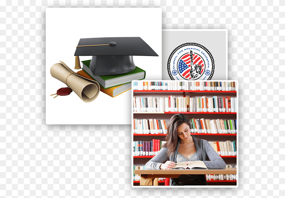 Top Universities In Usa And Canada For Indian Students, Indoors, Book, Publication, Person Free Transparent Png