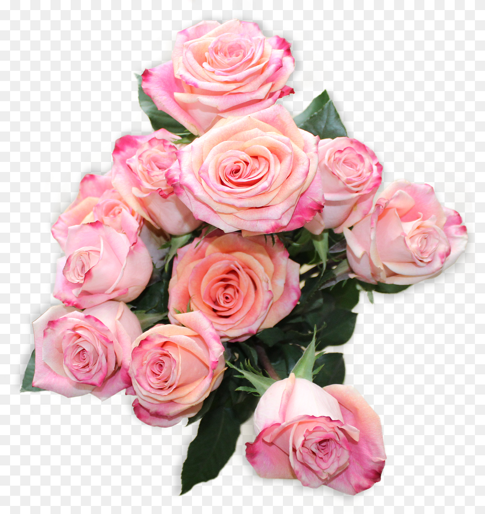 Top View Flower, Flower Arrangement, Flower Bouquet, Plant Free Png