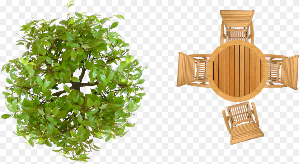 Top View For Landscape Plans Furniture Top View, Plant, Vase, Pottery, Potted Plant Png