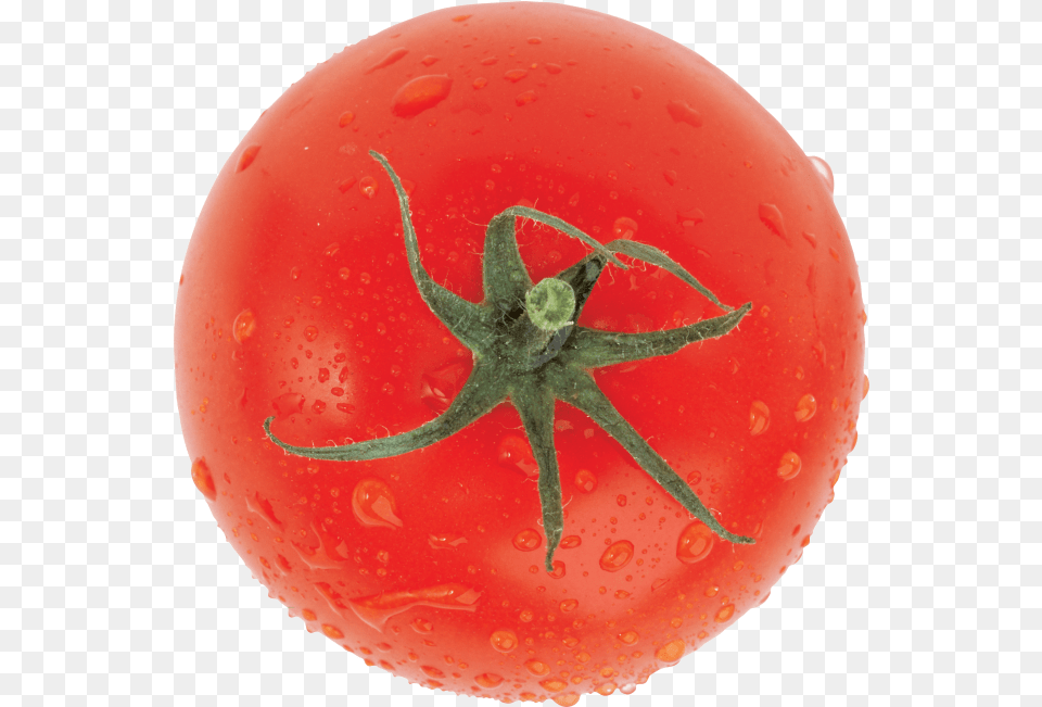 Top View Fresh Tomato Tomato, Food, Plant, Produce, Vegetable Free Png