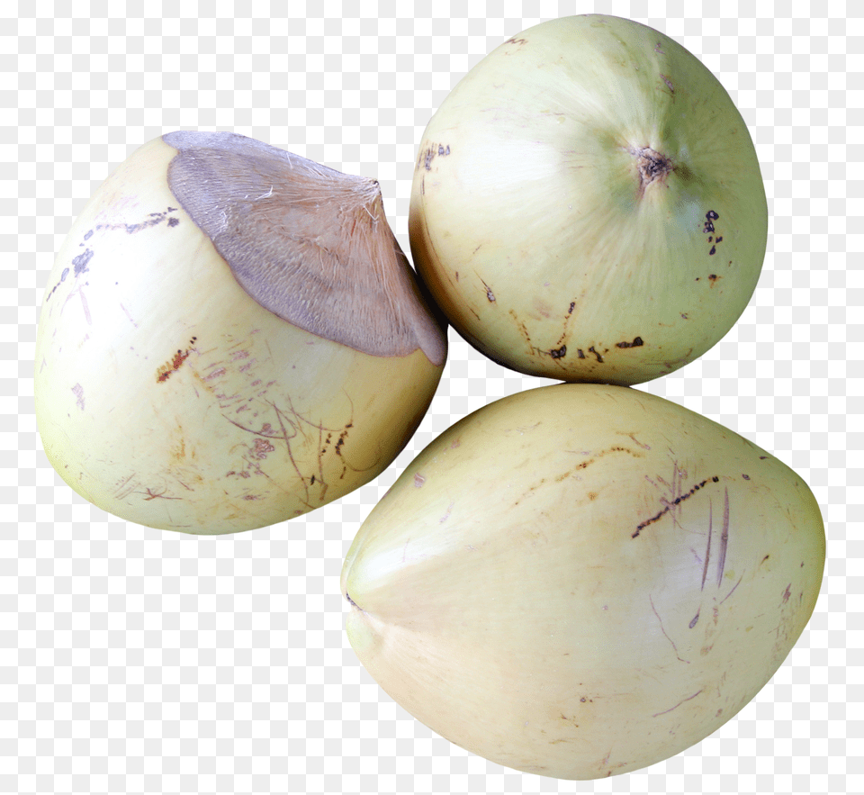 Top View Of Coconut, Food, Fruit, Plant, Produce Free Transparent Png