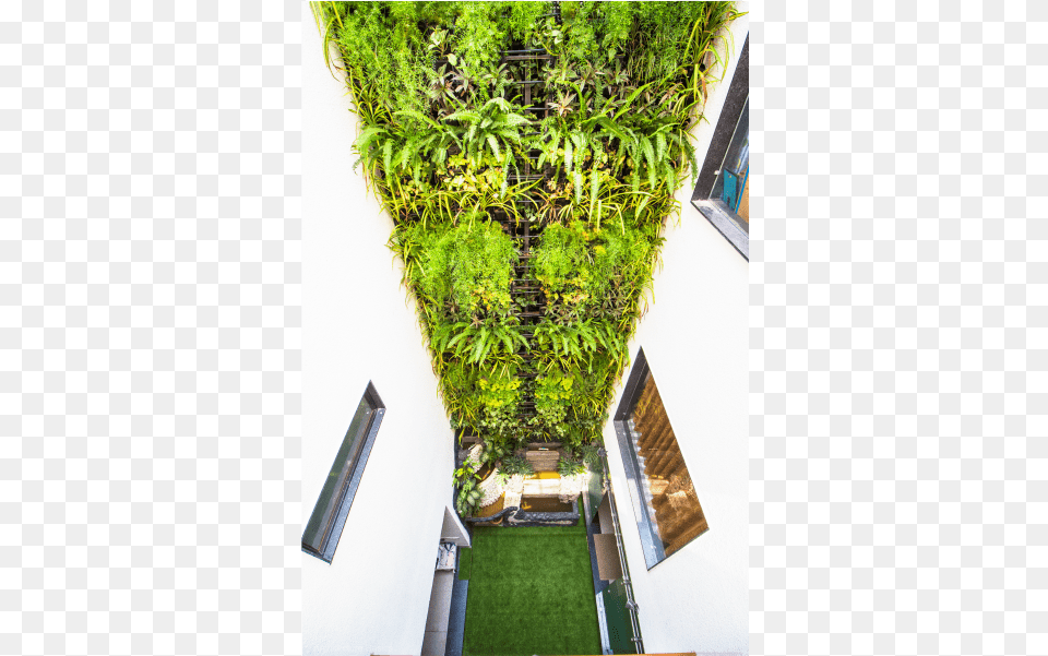 Top View Of The Vertical Garden Hedge, Outdoors, Nature, Arbour, Terrace Free Transparent Png