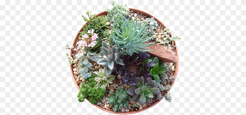 Top View Flower Pot, Vase, Pottery, Potted Plant, Jar Free Transparent Png