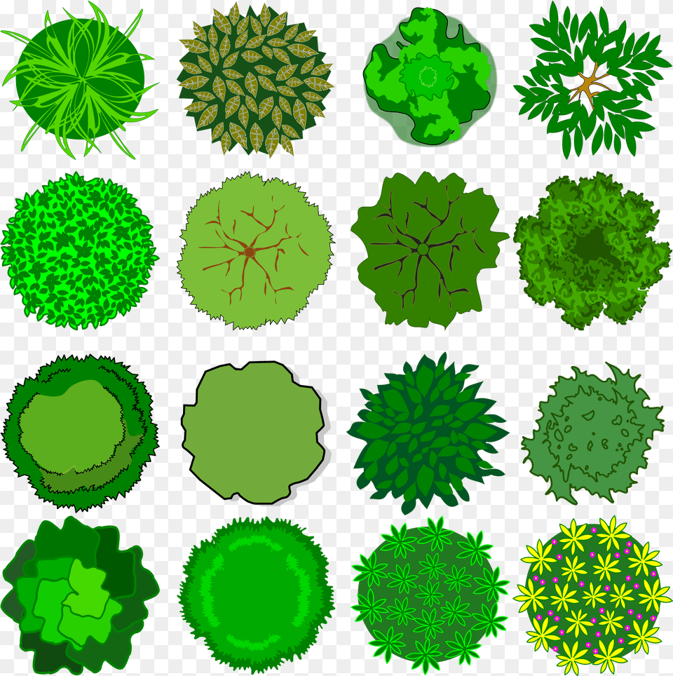 Top View Tree Clipart, Vegetation, Green, Moss, Plant Free Transparent Png
