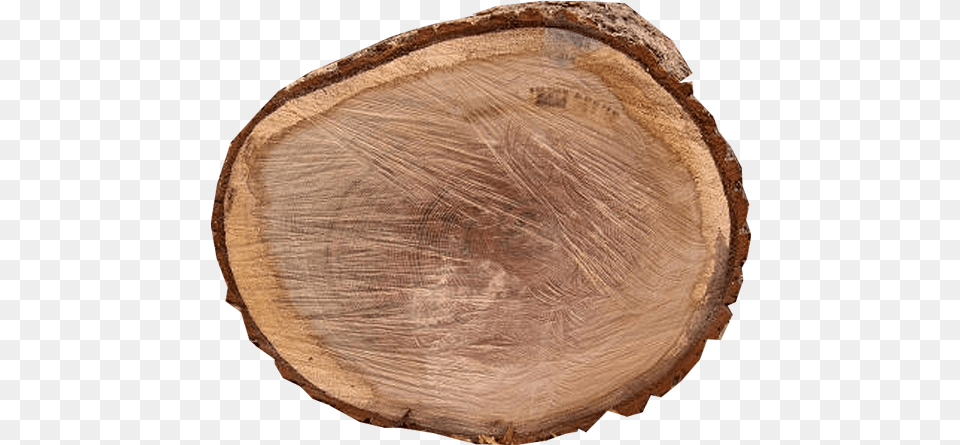 Top View Tree Stump, Wood, Lumber, Plant, Tree Trunk Png Image