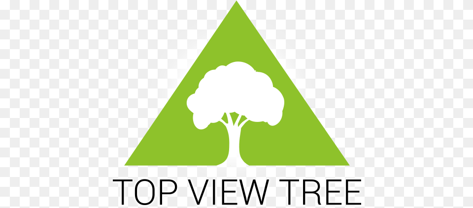 Top View Tree Tree And Stump Services Graphic Design, Triangle Png