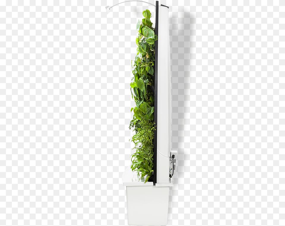 Top View Vertical Garden, Jar, Plant, Planter, Potted Plant Free Png Download