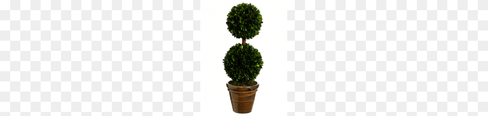 Topiaries, Leaf, Plant, Potted Plant, Tree Png Image