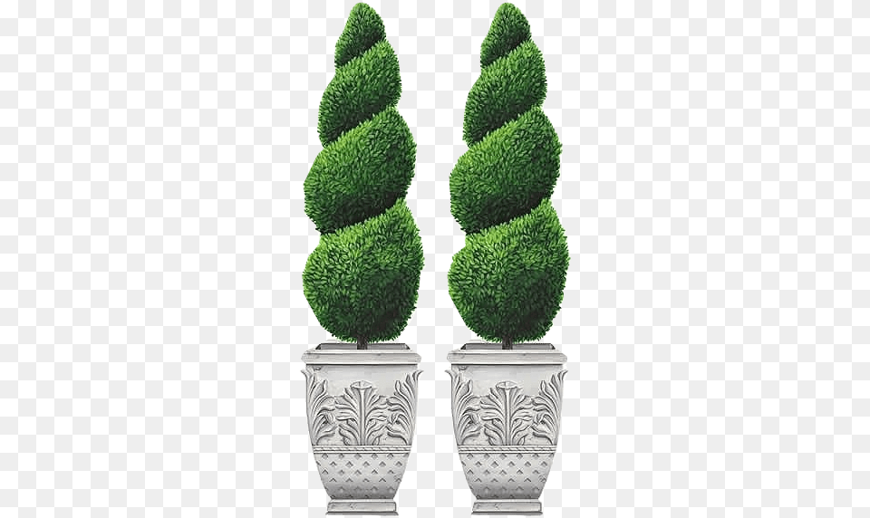 Topiary Garden Trees Topiary Tree Clipart, Conifer, Vase, Pottery, Potted Plant Free Transparent Png