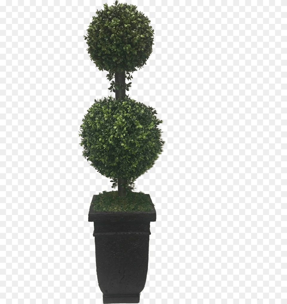 Topiary Hedge Shrub Bush Plant Freetoedit Topiary, Conifer, Potted Plant, Tree, Green Png Image