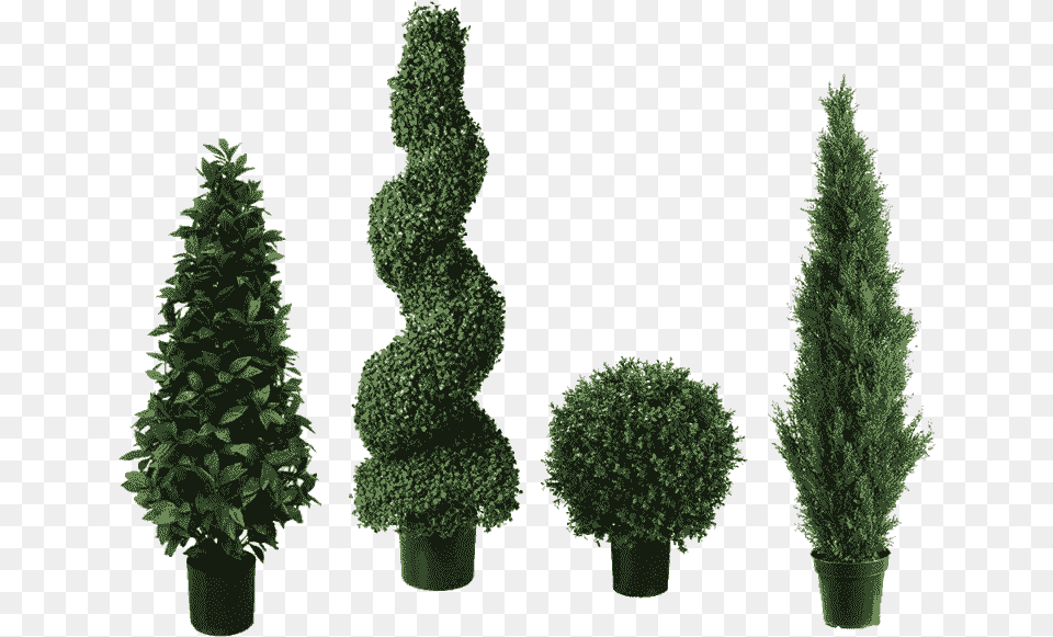 Topiary Trees Artificial Bay Cone Topiary Tree, Conifer, Fir, Pine, Plant Png Image